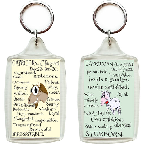 Zodiac Key Chain - CAPRICORN-gifts-WonderShop.In